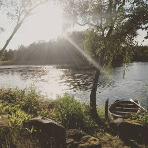 11800448_10155838642695114_6685798440619832631_n