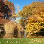 wpid-img_20151108_142826.jpg